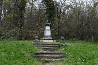 DSC_7027 (Large).JPG